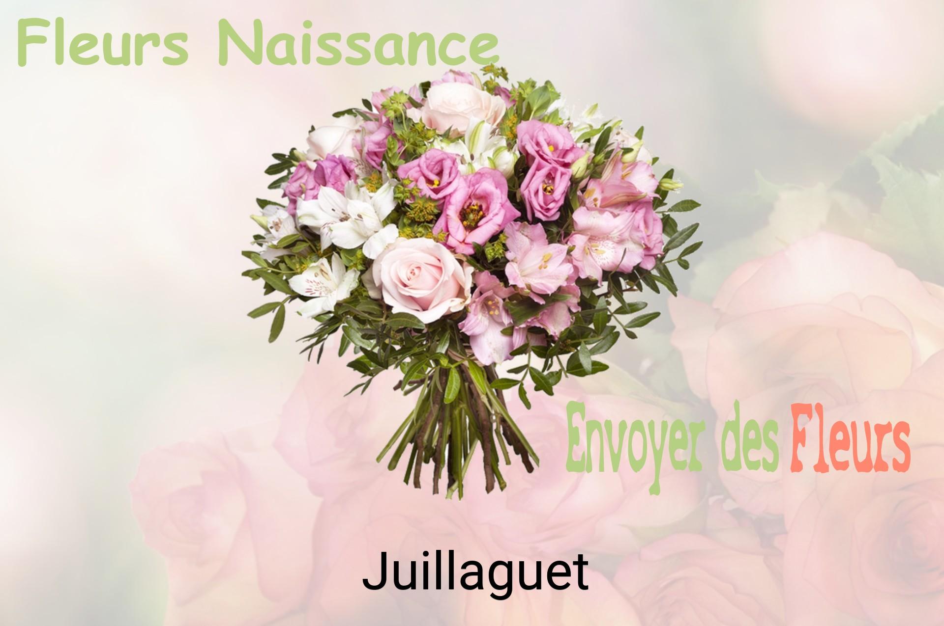 Bouquet de fleurs de naissance livré à Juillaguet